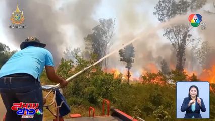 ไฟไหม้ป่ามาราธอน 7 ชั่วโมง เผา 500 ไร่ คาดชาวบ้านจุดหาของป่า