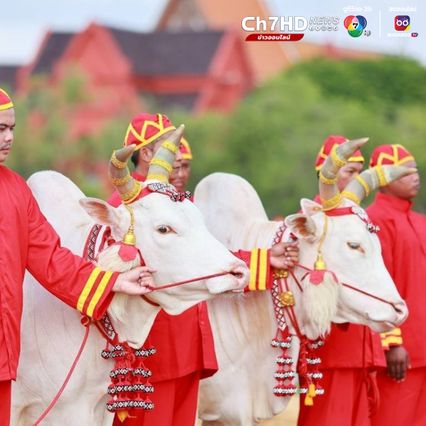 ก.เกษตรฯ จัดซ้อมใหญ่งานพระราชพิธีพืชมงคลจรดพระนังคัลแรกนาขวัญ