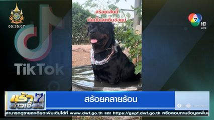 ไอเดียดี! ทำสร้อยน้ำแข็งคลายร้อนให้น้องหมา