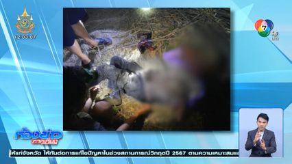 ประทัดปิงปองระเบิดใส่ชุดผลักดันกระทิงป่า บาดเจ็บสาหัส