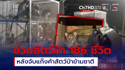 จับขบวนการค้าสัตว์ป่าข้ามชาติ ยึดสัตว์ป่ากว่า 180 ตัว