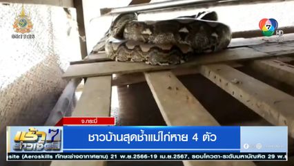 ชาวบ้านสุดช้ำแม่ไก่หาย 4 ตัว