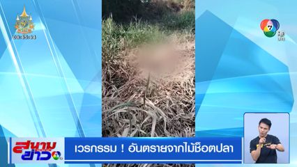 เวรกรรม ! อันตรายจากไม้ช็อตปลา