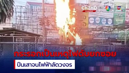 กระรอกปีนเสาไฟฟ้าทำลัดวงจร ไฟดับยกซอย