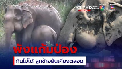 หมอล็อตเผยภาพพังแก้มป่อง ป่วยยืนซึมกินไม่ได้