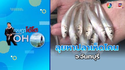 เจษฎาโอ้โฮ : ลุยหาปลาเห็ดโคน