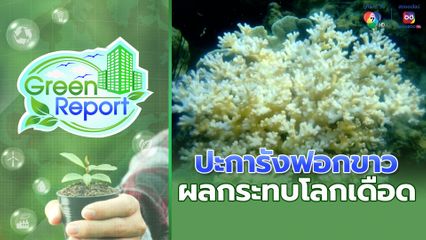 Green Report : ผลกระทบโลกเดือด ปิดแหล่งท่องเที่ยว พบปะการังฟอกขาว