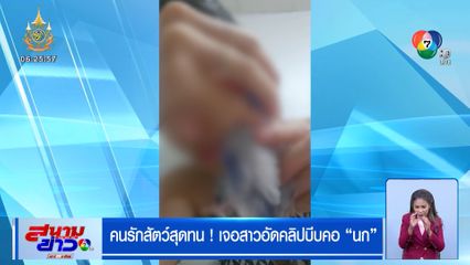 คนรักสัตว์สุดทน! เจอสาวอัดคลิปบีบคอนก