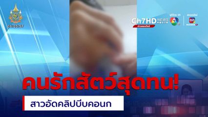 คนรักสัตว์สุดทน! เจอสาวอัดคลิปบีบคอนก