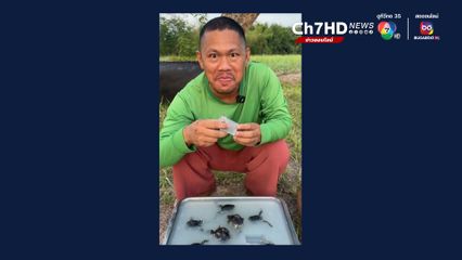 'อึ่งไข่' ฟีเวอร์ผุดเมนู 'วุ้นอึ้ง' ของหวานล้างปากสุดแปลก