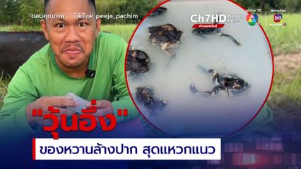 'อึ่งไข่' ฟีเวอร์ผุดเมนู 'วุ้นอึ้ง' ของหวานล้างปากสุดแปลก