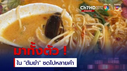 ซดน้ำต้มยำ เจอซากแมลง สุดทนแจ้ง สคบ. ตรวจสอบ ชาวเน็ตแห่วิจารณ์ร้าน
