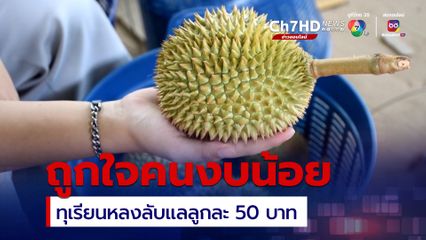 งบน้อยก็กินได้ ทุเรียนหลงลับแลจิ๋ว ขายถูกลูกละ 50 บาท
