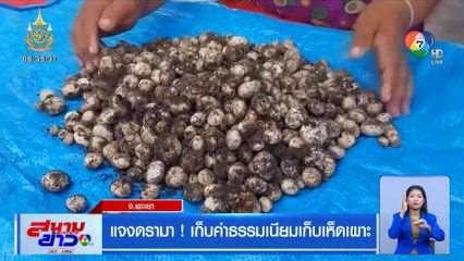 แจงดรามา! เก็บค่าธรรมเนียมเก็บเห็ดเผาะ