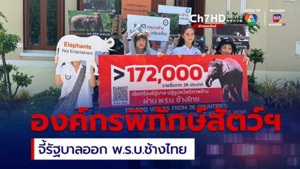 จี้ รัฐบาลดันร่าง พ.ร.บ.ช้างไทย พร้อมรวบรวมกว่า 200,000 รายชื่อ ต่อสำนักนายกรัฐมนตรี