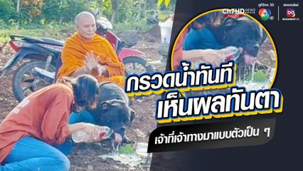 ช็อตฟีลระหว่างพิธีทำบุญ กรวดน้ำทันที เห็นผลทันตา เจ้าที่เจ้าทางมาแบบตัวเป็น ๆ ในรูปแบบน้องหมา