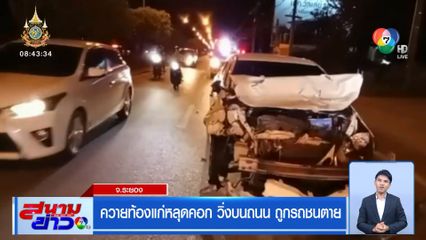 ควายท้องแก่หลุดคอก วิ่งบนถนน ถูกรถชนตาย