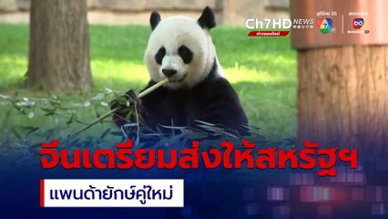 จีนเตรียมส่ง 2 แพนด้ายักษ์ ให้สหรัฐฯ หวังเชื่อมความสัมพันธ์