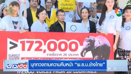 บุกทวงถามความคืบหน้า พ.ร.บ.ช้างไทย