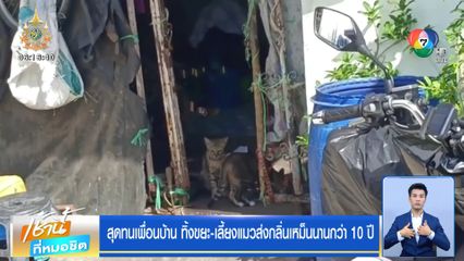 สุดทนเพื่อนบ้าน ทิ้งขยะ-เลี้ยงแมวส่งกลิ่นเหม็นนานกว่า 10 ปี