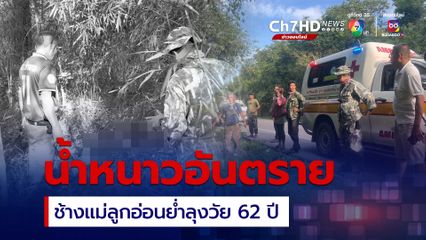 น้ำหนาวอันตราย ชาวบ้านเดินเข้าป่า เจอช้างแม่ลูกอ่อนเหยียบลุงวัย 62 ปี ดับคาที่