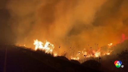 เผยภาพไฟไหม้ป่าในอิสราเอล หลังกลุ่มฮิซบอลเลาะห์ยิงจรวดถล่มอิสราเอล