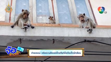 ตำรวจแนะ แจ้งความลิงแย่งโทรศัพท์มือถือเด็กนักเรียน