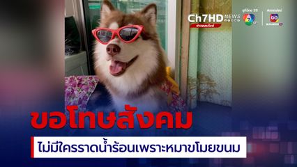 ราดน้ำร้อนใส่หมาไซบีเรียน เจ้าของหมายอมรับผิด ขอโทษสังคม