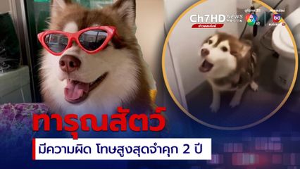 ทารุณกรรมสัตว์ มีความผิด โทษจำคุก 2 ปี ปรับ 4 หมื่นบาท