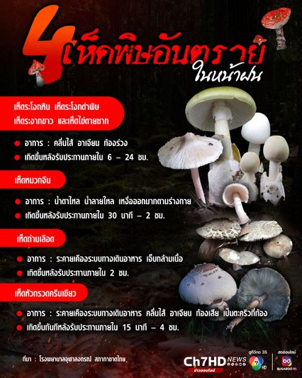 4 เห็ดพิษอันตราย ในหน้าฝน