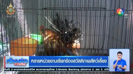 หลายหน่วยงานเรียกร้องสวัสดิภาพสัตว์เลี้ยง