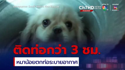 ช่วยลูกหมาอายุ 3 เดือน ติดอยู่ในท่อระบายอากาศนานกว่า 3 ชม.