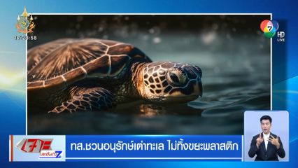 ทส. ชวนอนุรักษ์เต่าทะเล ไม่ทิ้งขยะพลาสติก