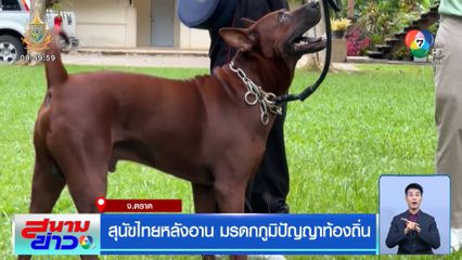 สุนัขไทยหลังอาน มรดกภูมิปัญญาท้องถิ่น