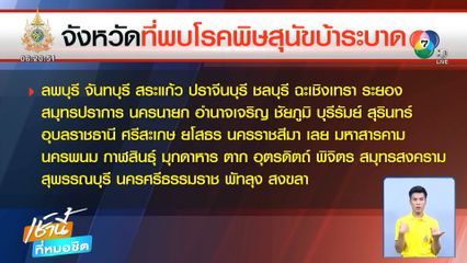 พบ 30 จังหวัด โรคพิษสุนัขบ้าระบาดหนัก