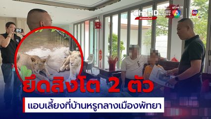 ดัดแปลงบ้านหรูกลางเมืองพัทยา เลี้ยงสิงโต 2 ตัว