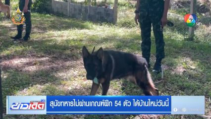 สุนัขทหารไม่ผ่านเกณฑ์ฝึก 54 ตัว ได้บ้านใหม่วันนี้