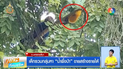 เด็กรวมกลุ่มหา น้ำผึ้งป่า ขายสร้างรายได้