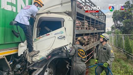 รถขนหมูพุ่งชนรถพ่วงมีเด็กติด 2 คน ร้องไขอให้ช่วยชีวิตตา