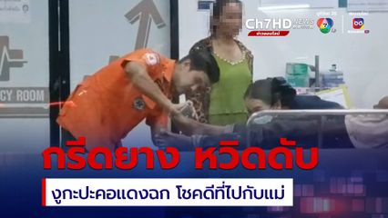 เกือบไม่รอด ถูกงูมีพิษกัด โชคดีส่งรพ.ทัน
