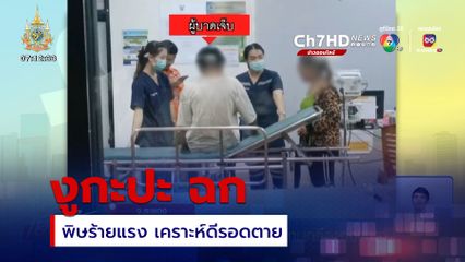 ภัยใกล้ตัว งูกะปะ ฉกคนงานกรีดยางพารา