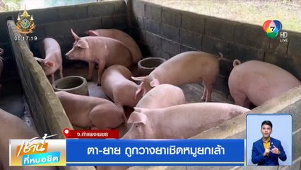 ตา-ยาย ถูกวางยาเชิดหมูยกเล้า