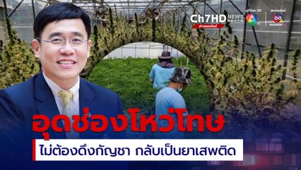 กัญชากลับเป็นยาเสพติด “หมอรุ่งเรือง” หวั่นองค์ความรู้หยุดชะงัก ทำลายโอกาสคนไทย
