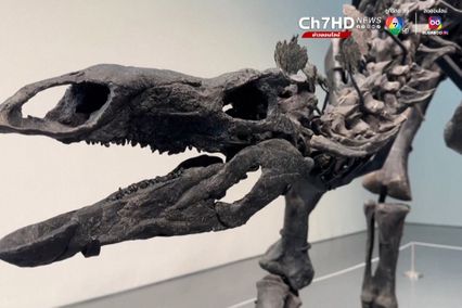 กำเงินรอ ! เปิดประมูลโครงกระดูก “สเตโกซอรัส” ไดโนเสาร์ที่เคยอยู่บนโลกเมื่อ 150 ล้านปีก่อน