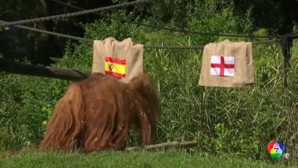 สีสันทายผลฟุตบอลยูโร รอบชิงชนะเลิศ