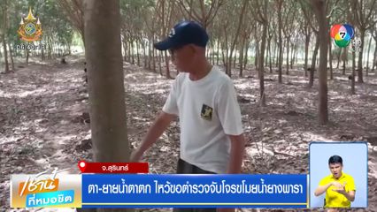 ตา-ยายน้ำตาตก ไหว้ขอตำรวจจับโจรขโมยน้ำยางพารา