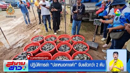 ปฏิบัติการล่า ปลาหมอคางดำ จับแล้วกว่า 2 ตัน