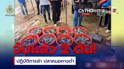 ปฏิบัติการล่า ปลาหมอคางดำ จับแล้วกว่า 2 ตัน