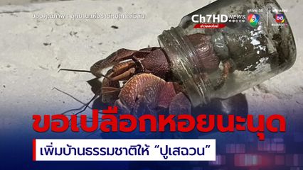 รับบริจาคเปลือกหอยเพิ่มบ้านให้ “ปูเสฉวน”