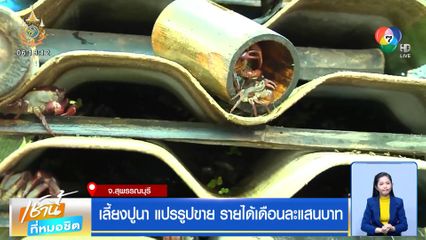 เลี้ยงปูนา แปรรูปขาย รายได้เดือนละแสนบาท